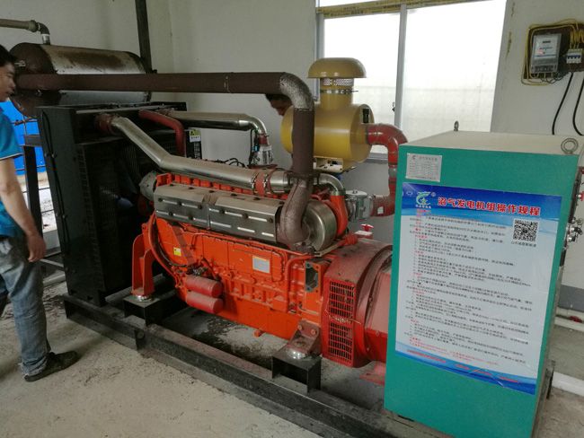 廣西橫縣一養殖場沼氣發電工程