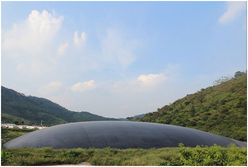 農村糞污沼氣發電