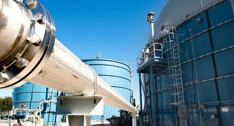 規(guī)模化養(yǎng)殖場沼氣發(fā)電項目建設(shè)的可行性