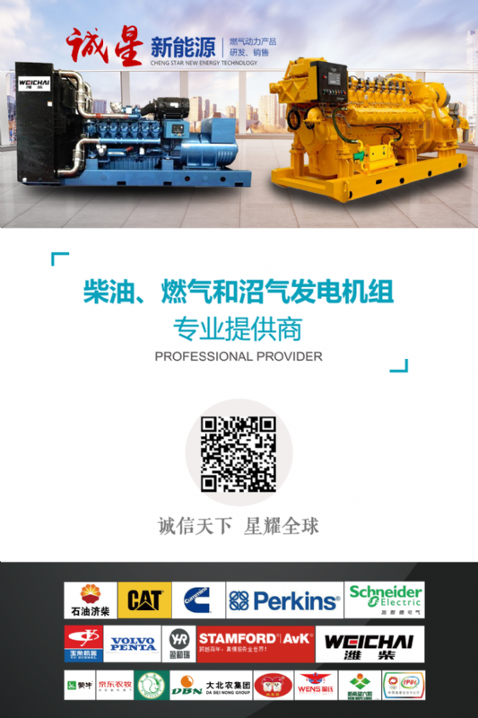 沼氣發電機組污染物廠界排放及尾氣排放執行什么標準