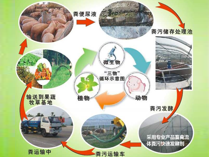 農村糞污沼氣發電