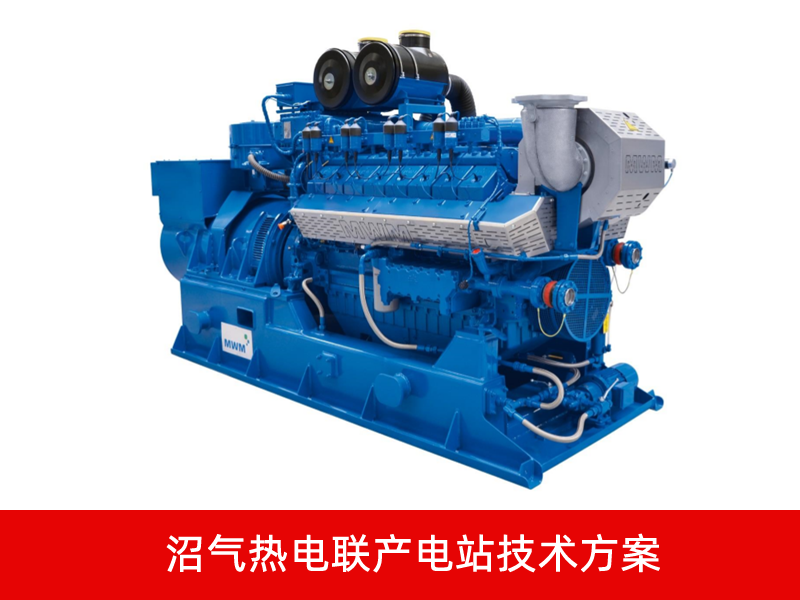 沼氣熱電聯產電站技術方案