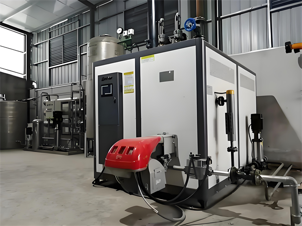 沼氣蒸汽發生器