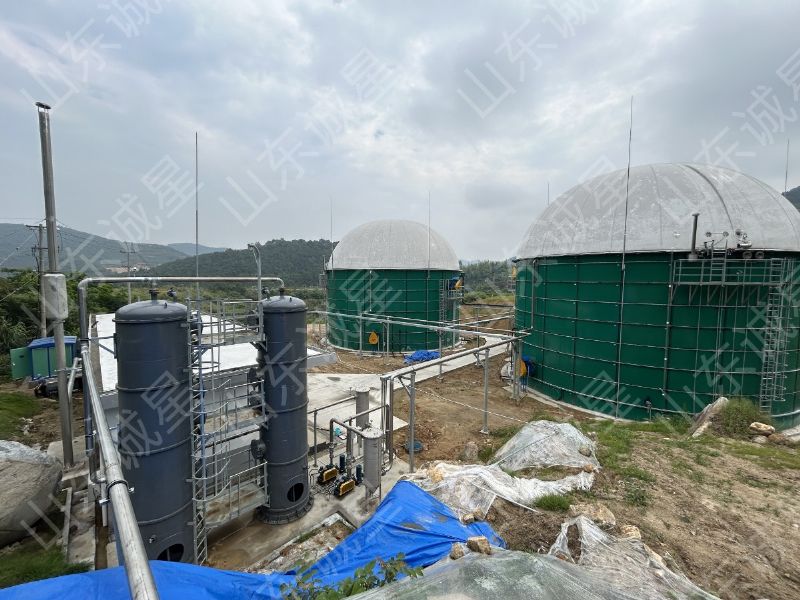 山東誠(chéng)星糞污資源化利用沼氣發(fā)電